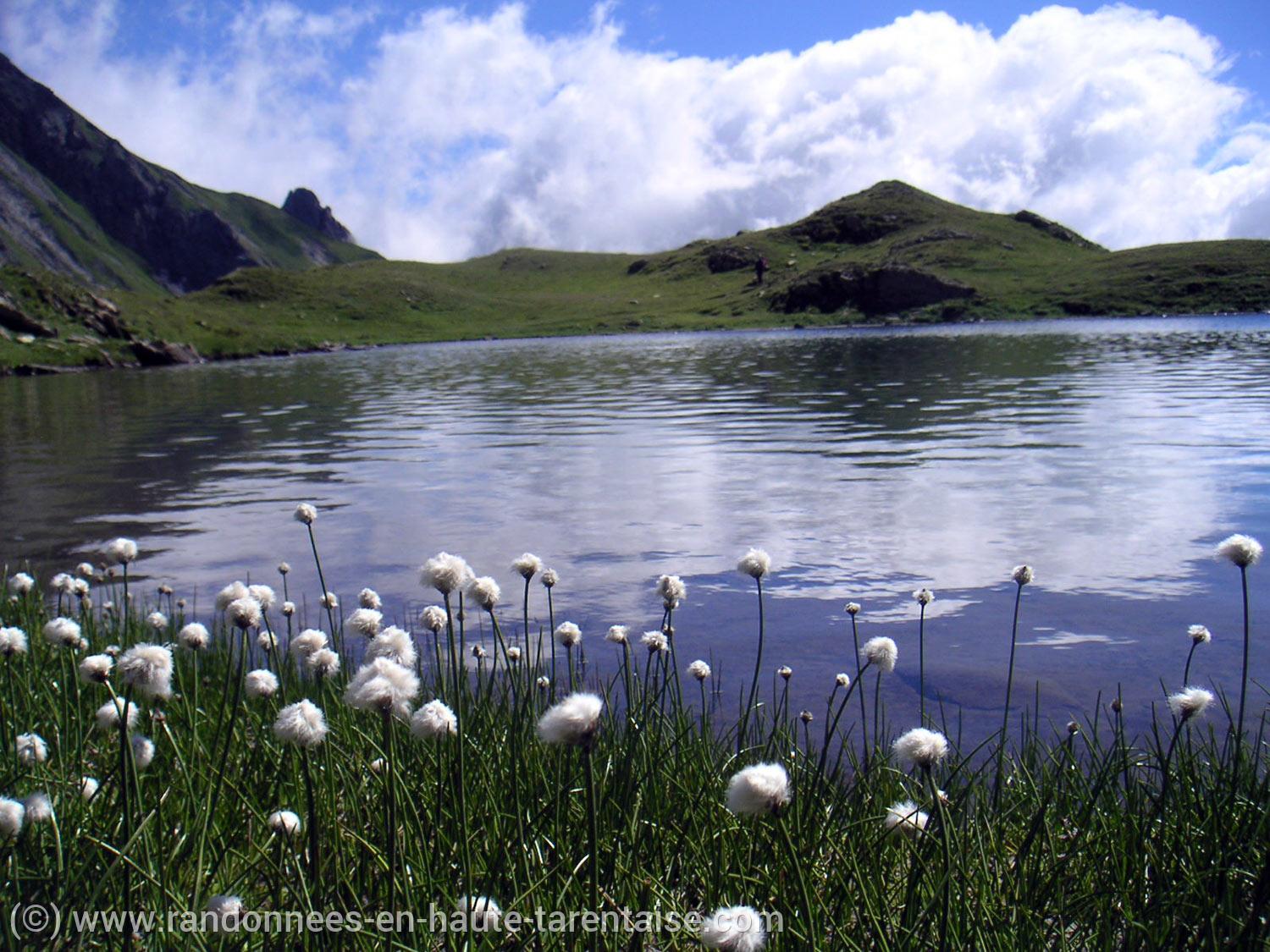 Les Cinqs Lacs  randonnées en Haute Tarentaise :